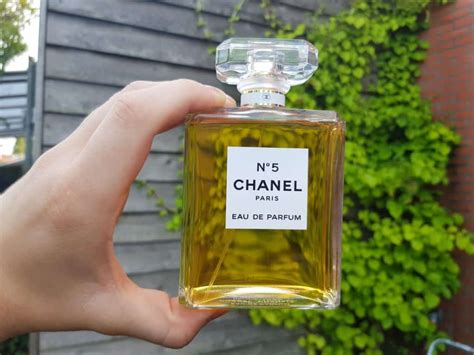 dupes for chanel coco|fragrances similar to chanel 5.